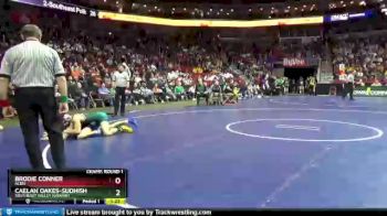 2 lbs Champ. Round 1 - Brodie Conner, Albia vs Caelan Oakes-Sudhish, Southeast Valley (Gowrie)