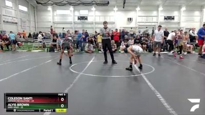 84 lbs Finals (2 Team) - Alyis Brown, Ohio Gold vs Coleson Santi, Armory/Revolution