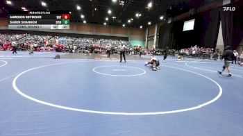 144 lbs Cons. Round 1 - Saber Shannon, Spring Creek vs Jameson Seymour, Vintage