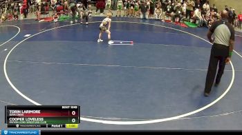 48 lbs Champ. Round 2 - Torin Larimore, Dove Creek vs Cooper Loveless, Payson Lions Wrestling Club