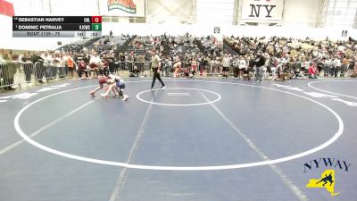 75 lbs Champ. Round 2 - Dominic Petralia, Hilton Jr Cadets Wrestling Club vs Sebastian Harvey, Club Not Listed
