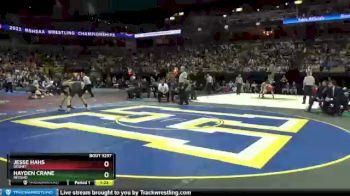 132 Class 3 lbs Semifinal - Jesse Hahs, DeSmet vs Hayden Crane, Neosho