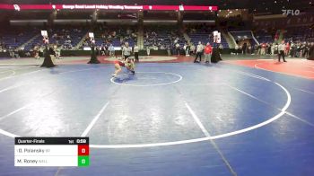 100 lbs Quarterfinal - Olivia Polansky, Bridgewater-Raynham vs Megan Roney, Wellesley