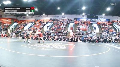 215 lbs Quarterfinals (8 Team) - Dominic Nauss, Brighton vs Brandon Glisson, Davison