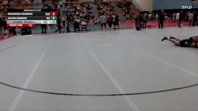 141 lbs Champ. Round 2 - Gavin Enders, Harper CC vs Brandon Eusebio, Saint Cloud State