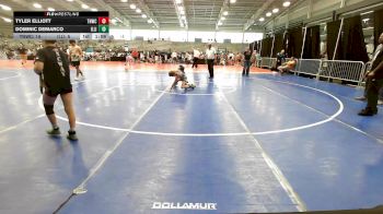 95 lbs Rr Rnd 3 - Tyler Elliott, TNWC Blue vs Dominic DeMarco, Illinois Menace