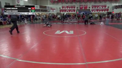 85 lbs Champ. Round 1 - Jaime Hebler, Pursuit Wrestling Minnesota vs Jaiven Weber, Team Nazar
