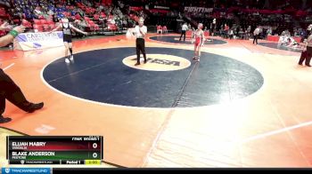 1A 113 lbs Cons. Round 1 - Elijah Mabry, Vandalia vs Blake Anderson, Peotone