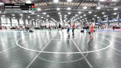 152 lbs Consi Of 32 #1 - Anthony Agriesti, FL vs Magnus Hoenshell, MO