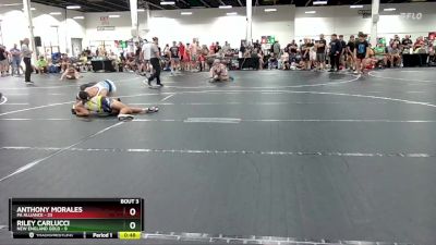 138 lbs Round 2 (4 Team) - Riley Carlucci, New England Gold vs Anthony Morales, PA Alliance