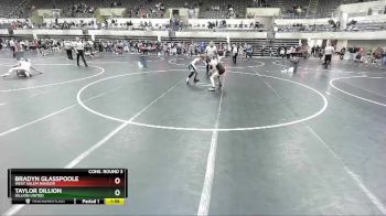 119 lbs Cons. Round 3 - Bradyn Glasspoole, West Salem Bangor vs Taylor Dillion, Dillion United