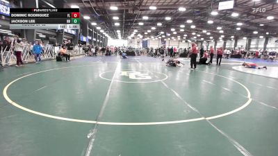 119 lbs Round Of 32 - Dominic Rodriguez, FL vs Jackson Lee, NH
