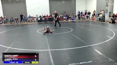 92 lbs Round 3 (8 Team) - Dakota Sandy, Pennsylvania Red vs Gabriel Ryzyi, Michigan