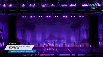 Florida Top Dog All Stars - Tiny Teal [2025 L1 Tiny - Novice - Restrictions Day 1] 2025 The American Open Orlando Nationals