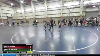 53 lbs Semifinal - Trig Klingler, UT vs Hayzon Walker, UT