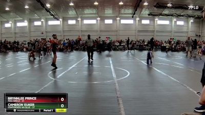 84 lbs Finals (2 Team) - Cameron Euker, Contenders WA Blue vs Brynnlee Prince, Full Circle