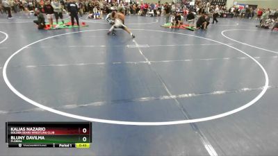 165 lbs Cons. Round 3 - Bluny Davilma, Florida vs Kalias Nazario, Golden Bears Wrestling Club