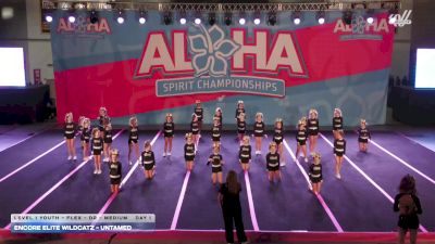 Encore Elite Wildcatz - Untamed [2026 L1 Youth - Flex - D2 - Medium Day 1] 2026 Aloha Baltimore Showdown