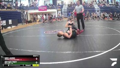 80 lbs Round 2 (6 Team) - Brysen Frey, Mat Rats vs Wes James, Violent Little Machines