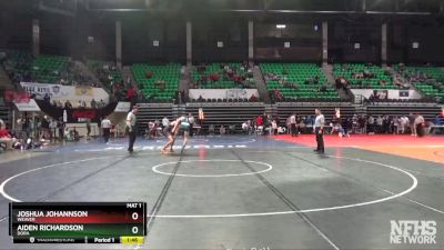 170 lbs Semifinal - Joshua Johannson, Weaver vs Aiden Richardson, Dora