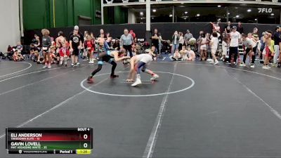 96 lbs Placement (4 Team) - Gavin Lovell, Mat Assassins White vs Eli Anderson, Takedown Elite