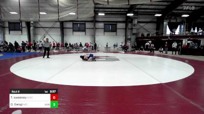 125 lbs Round Of 32 - Todd Sweeney, Springfield Tech vs Dominic Gangi, New England College