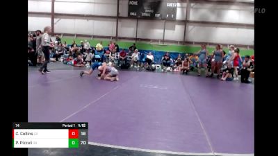 74 lbs Finals (8 Team) - Chloe Collins, Gone Rogue vs Payton Pizzuli, Ohio Blue