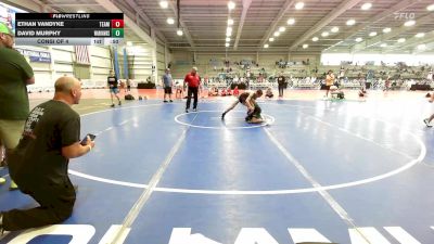 95 lbs Consi Of 4 - Ethan VanDyke, Team Michigan vs David Murphy, Warhawks