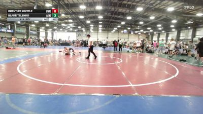 119 lbs Round Of 32 - Brentlee Knittle, Donahue Wrestling Academy - MS vs Blake Telenko, All American Wrestling Club - MS