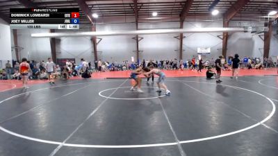 120 lbs Rr Rnd 3 - Dominick Lombardi, Estebuilt WC - HSBD vs Joey Miller, Liberty - HSBD