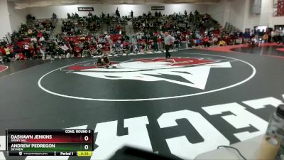106 lbs Cons. Round 5 - Dashawn Jenkins, Smoky Hill vs Andrew Pedregon, Skyview