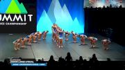 No Limits Dance - Junior Large Lyrical [2025 Junior - Contemporary/Lyrical - Large Finals] 2025 The Dance Summit