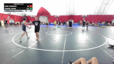113 lbs Semis & Wb (16 Team) - Gabe Swenson, Zimmerman vs Gabriel White, Cameron
