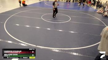 55 lbs Finals (8 Team) - Benjamin Davis, Bemidji vs Harrison Schuelke, Marshall/Lakeville/RTR