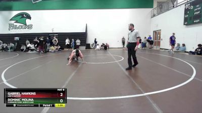 120 lbs Cons. Round 4 - Gabriel Hawkins, Lee`s Summit vs Dominic Molina, Cornerstone Wrestling