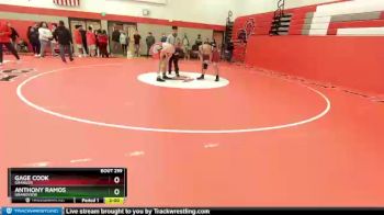 285 lbs Semifinal - Gage Cook, Granger vs Anthony Ramos, Grandview
