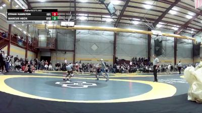 132 lbs Cons. Round 2 - Ethan Hamilton, Homewood-Flossmoor vs Marcus Heck, Wyoming Seminary (PA)