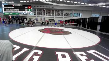 141 lbs Champ. Round 1 - Ivan Benitez, Greensboro vs Michael Santore, Oswego State