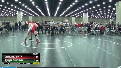 197 lbs Finals (8 Team) - Tyler Goodemote, Cortland State vs Gabriel Rodrigues, NYU