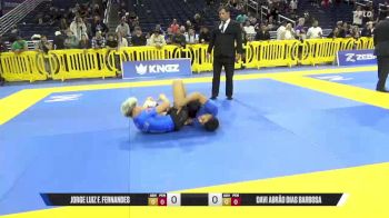 Davi Abrão Dias Barbosa vs Jorge Luiz F. Fernandes 2025 Pan IBJJF Jiu-Jitsu No-Gi Championship