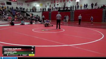 195 lbs Semifinal - Matthew Hudelson, Normal (Community) vs Vincenzo Lima, Iowa City, Liberty