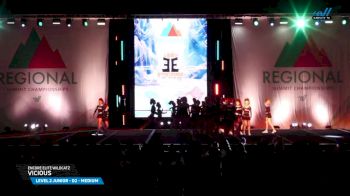 Encore Elite Wildcatz - Vicious [2025 L2 Junior - D2 - Medium Day 1] 2025 The Northeast Regional Summit