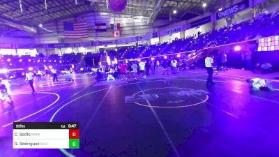 62 lbs Semifinal - Cooper Sadlo, Amherst WC vs Roman Rodriguez, Gulf Coast WC