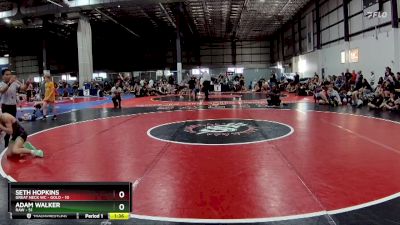 100 lbs Round 5 (6 Team) - Adam Walker, RAW vs Seth Hopkins, GREAT NECK WC - GOLD