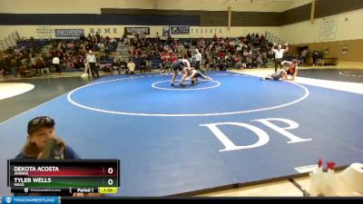 190 lbs Quarterfinal - Dekota Acosta, Jenkins vs Tyler Wells, Mead