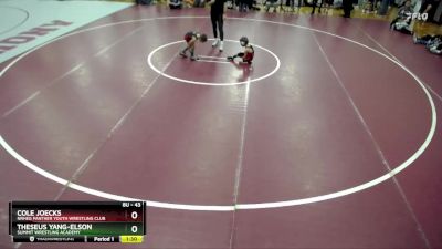 43 lbs Round 4 - Theseus Yang-Elson, Summit Wrestling Academy vs Cole Joecks, NRHEG Panther Youth Wrestling Club