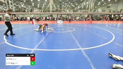 135B lbs Final - Anthony Pica, Garden City vs Clint Plotner-legg, Lake Highland Prep