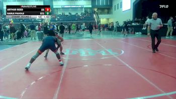 149 lbs Champ. Round 2 - Arthur Reed, Brewton-Parker (GA) vs Gable Pauole, Mt. Olive