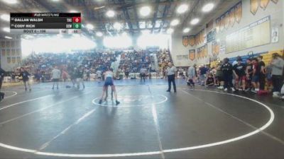 106 lbs Cons. Round 3 - Dallan Walsh, Camden Outsiders vs Cody Rich, Buchholz