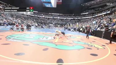 175-5A Cons. Round 1 - Andrew Dienhart, Cherokee Trail vs Joseph Palmer, Rocky Mountain